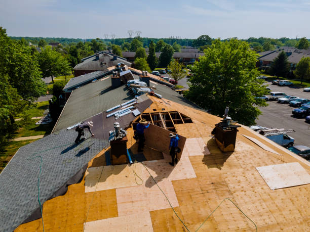 24/7 Emergency Roof Replacement experts in San Leandro, CA